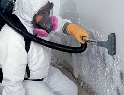 Forensic Mold Investigation in Redwood City, CA